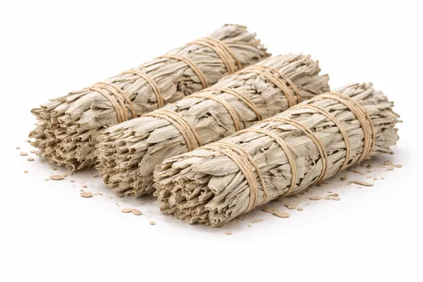 Sage_Bundle_Salvia_Apiana_White_Sage_Smudge_Stick